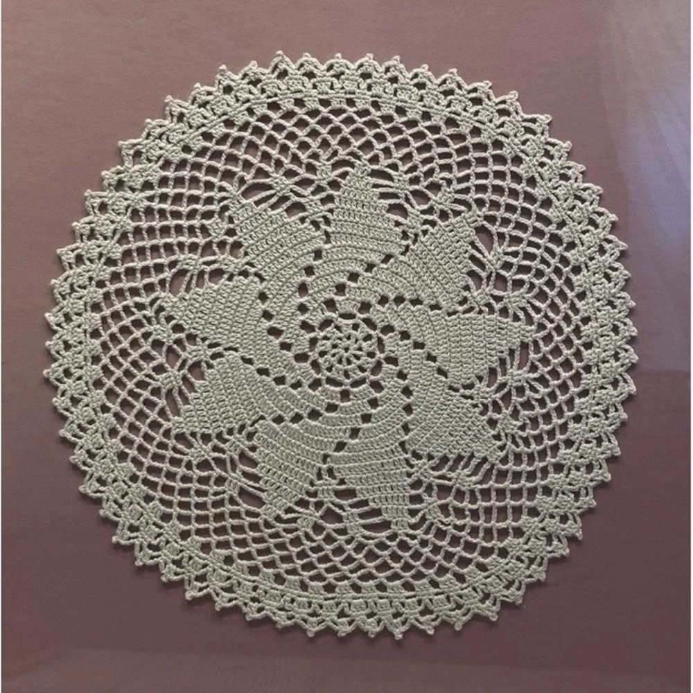 Vintage Framed Crochet Doily Wall Art Handmade Lace Decor Wood Frame 15.5